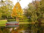 Zoeterwoudse Singel Herbstfarben.