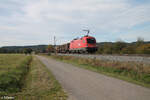 1016 003 zieht mit einem gemischten Güterzug nach Passau bei Pölling vorbei.
