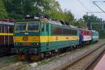 eu07-ep07-ep08-pafawag-4e-hcp-303e-4ea-102e/391129/elektrolokomotiven-in-polen-von-der-pkp ELEKTROLOKOMOTIVEN IN POLEN VON DER P.K.P AUSGELAGERTEN PRZEWOZY REGIONALE:
Im Rollmaterialbestand der PRZEWOZY REGIONALE befinden sich auch einige aus Tschechien angemitete Lokomotiven der Baureihe 163, die auf den Namen von Frauen getauft worden sind. Auf einem Abstellgeleise in Poznan Glowny warten am 16. August 2014 163 034-2 'Helena', EP 07P 5140 246-7 und 163 046-6 'Kasia' auf ihre nchsten Einstze.
Foto: Walter Ruetsch