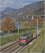 Die SBB Cargo Re 4/4 II 11243 (Re 420 243-8) 'Wartung mit Durchblick' erreicht mit einem Güterzug den Bahnhof von Villeneuve. 

14. Nov. 2024