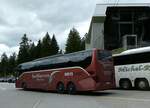 (252'341) - Aus Schweden: Hallgrens, Ulricehamn - GWE 08X - Setra am 4.