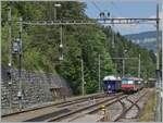 Ein SBB RBDe 560  Domino  verlässt Gänsbrunnen in Richtung Moutier.