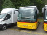 (219'348) - AutoPostale Ticino - PID 11'431 - Iveco am 2.