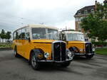 (235'762) - Baumgartner, Horn - SG 40'791 - Saurer/Saurer (ex Oldi-Reisen, Matzingen) am 21.