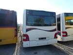 (235'585) - PostAuto Nordschweiz - (NE 165'372) - MAN (ex AG 271'190) am 15.