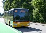 (276'096) - PostAuto Zrich - Nr. 413/ZH 115'469/PID 11'787 - Mercedes (ex Stutz, Jonen Nr. 413) am 31. Mai 2025 in Ringlikon, Langwis 
