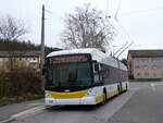 (269'309) - VBSH Schaffhausen - Nr. 101 - Hess/Hess Gelenktrolleybus am 21. November 2024 in Neuhausen, Herbstcker