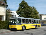 (255'313) - Wanner, Schleitheim - SH 48'096 - Saurer/Hess (ex Ruklic, Schaffhausen; ex VBSH Schaffhausen Nr.