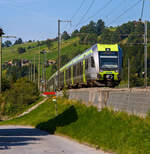 Zwei gekuppelte  Lötschberger  der  BLS RABe 535 103 und der BLS RABe 535 120 fahren am 08.09.2021,als RE 4274 (RegioExpress) Domodossola – Brig – Kandersteg – Spiez – Bern, vom BLS Bahnhof Mülenen weiter in Richtung Spiez. 