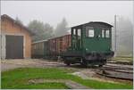 Spitzmaus in Grün und mit UIC Nummer: der CTVJ Tm I 102 (UIC 98 85 5230 320-4) steht in Le Pont.