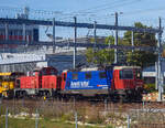 Die SBB Cargo Re 4/4 II – 11228  / Re 420 288-3  „Avanti Tutta! / Vorwärts.“ (91 85 4420 288-3 CH-SBBC) steht am 11 September 2023, bei Bern. An (hinter) der Re 4/4 hängen: Die Am 841 018-5 (Am 92 85 8 841 018-5 CH-SBBI) der SBB Infrastruktur; die kontinuierlich arbeitende Schotterplanier- und Verdichtungsmaschine SCHEUCHZER DP 956 (VTms 40 85 95 81 096-6) eine P&T KVP 2000; sowie einigen Güterwagen. Bild aus einem Zug durch die Scheibe.

Die Re 4/4 II wurde 1972 von der SLM (Schweizerische Lokomotiv- und Maschinenfabrik) in Winterthur unter der Fabriknummer 4934 gebaut, die elektrische Ausrüstung ist von der BBC (Fabriknummer 784), MFO (Maschinenfabrik Oerlikon) und SAAS (Société Anonyme des Ateliers de Sécheron). Die Lok ist heute mit  ETCS Level 2 ausgerüstet. 

Seit 2017 hat die Lok Voith CargoFlex Hybrid Frachtkupplungen (auch als Digitale Automatische Kupplung DAK bekannt).

Die Hybridkupplung wurde speziell für Lokomotiven entwickelt und mit einer Gemischtzugkupplung ausgestattet. Sie ermöglicht ein automatisches Kuppeln und Entkuppeln von Güterwagen mit CargoFlex Kupplungen vom Typ Scharfenberg, bei Wagen mit Schraubkupplungen (UIC-Zughaken) wir die Kupplung um 90°nach oben geschwenkt und so kann Zughaken manuell gekuppelt und zusammen mit den Seitenpuffern eingesetzt werden.

Zusatzausstattungen für die Kupplung sind:
• Heizelemente für Zylinder und Stirnfläche
• Sensoren zur Erfassung des Kuppelzustandes
• Luftkupplung zur Hauptluftbehälterleitung
• Betätigungseinrichtung für automatisches Entkuppeln

Endlich automatisiert:
Nach 150 Jahren ist ein Ende in Sicht für das manuelle Kuppeln im Güterverkehr. Es ist zeitaufwendig und bringt viele Risiken und Nachteile mit sich. Die Voith CargoFlex Typ Scharfenberg ändert den Status quo. Seit Mai 2017 muss sich diese automatische Frachtkupplung in einem ersten Langzeitversuch bei der SBB Cargo bewähren. So fahren seitdem 25 Loks und 100 Güterwagen erfolgreich mit der automatischen Frachtkupplung. Die Lok besitzen die Hybrid-Kupplung, damit sie sowohl Wagen mit der automatischen Frachtkupplung als auch Wagen mit Schraubkupplungen und Seitenpuffern kuppeln kann.

Eine flexible Lösung für den Schienengüterverkehr:
Die Voith CargoFlex ist ein modulares System für den europäischen Schienengüterverkehr. Auf Basis der Scharfenbergkupplung Typ 10 können Güterzüge schnell und automatisch gekuppelt werden. Die Kupplung ist auf Einbauräume nach UIC 530 und auf Fahrzeuge nach TSI abgestimmt. Energieverzehrkomponenten und ein Stabilisierungsgelenk ermöglichen eine erhöhte Sicherheit und geringeren Verschleiß. Zusatzkomponenten erlauben eine weitere Automatisierung der Betriebsabläufe.

Aber der gesamte Güterverkehr wird wohl nicht über Nacht auf diese automatische Kupplung umgestellt sein. Zudem müsste dies dann in ganz Europa geschehen, da viele Güterwagen in ganz Europa unterwegs sind. Aber auch die DB Cargo, GATX, Green Cargo, VTG, ermawa, RailCargo sind in dem Projekt beteiligt und testen die Kupplung bereits.

Die Vorteile liegen aber auf der Hand: 
•	Erhöhte Arbeitssicherheit durch Vermeidung von Unfällen.
•	Automatisierung, durch das automatische Kuppel und Entkuppeln, somit ist eine voll automatische Zugbildung möglich.
•	Ertragserhöhung bzw. Kosteneinsparung.
•	Erhöhte Transportfähigkeit, der Einsatz längerer und schwererer Züge ist möglich.
•	Beschleunigte Zugbildung und Rangierabläufe

Die Technischen Vorteile sind:
•	Entfall der Seitenpuffer
•	Gewichtsoptimierung /-einsparung der Wagen
•	Geringe Geräuschbildung 
•	Geringer Rad-Schiene-Verschleiß
•	Basis für Integration weiterer Innovationen (Datenübertragung / Stromversorgung)
