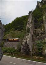 Re 4/4 I 10034 auf Jurarundfahrt.