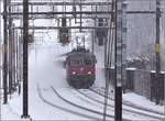 Heftiger Schneefall vor genau zwei Jahren in Tecknau. Re 4/4 II 11197 kämpft sich mit einem IR den Weg zum Hauen
steinbasistunnel frei. Januar 2017.