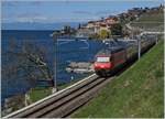 Die SBB RE 460 0274 in einer Gestaltungsvariante, die leider nicht in  Serie  ging: neben dem aufgemalten SBB Signet, ist die Loknummer an der Front angebracht. 

Die SBB Re 460 027 schiebt bei Saint Saphorin einen IR in Richtung Lausanne. 

27. März 2021