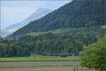 150 Jahre Emmentalbahn. 

141-R-1244 auf dem Rückweg von der grossen Emmentalrundfahrt anlässlich des Jubiläums. Bei Unterengg, Malters geht es bereits die Steigung nach Littau hinauf, während im Hintergrund die Königin der Berge wartet. Am Zugschluss hilft Ae 6/6 11407 'Aargau' noch ein wenig mit. Mai 2025.