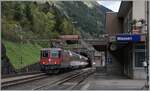 Gotthard-Bahn Regelverkehr: Die SBB Re 4/4 11195 ist mit dem Gotthard Panoramique Express von Lugano nach Flüelen (Arth-Goldau) bei Wassen unterwegs. 

19. Okt. 2023
