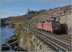 Von der bekannten Fotostelle aus konnten ich zwischen Rivaz und St-Saphorin die beiden SBB Re 4/4 II 11259 und 11240 (Re 420 259-4 und Re 420 240-4) als Lokzug auf der Fahrt in Richtung Villeneuve
