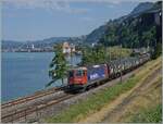 Die SBB Re 4/4 II 11288 (RE 420 288-3) ist kurz vor Villeneuve mit einem G�terzug au dem Weg nach Sierre.