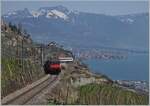 Infolge Bauarbeiten zwischen Vevy und Lausanne wurden die IR/RE via Puidoux umgeleitet, was auf dieser recht steilen Strecke eher ungewöhnliche Aufnahmen langer Züge ermöglichte.