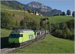 Die BLS Re 465 002 ist mit dem GoldenPass Express 4065 von Interlaken nach Montreux bei Enge im Simmental auf dem Weg nach Zweisimmen, wo der Zug dann umgespurt nach Montreux weiter fahren wird.