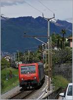 Die SBB Re 474 014 mit einem Güterzug bei San Nazzaro.
20. Mai 2017 