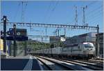 Die Rail Care Rem 476 454 (UIC 91 85 4476 454-9 CH-RLC) ist nach der Fahrt nach Vufflens la Ville mit ihrem Coop-Container-Zug wieder zurück in Genève, hier erreicht der Zug bei Lancy