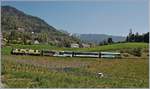 Noch richtig  goldig  zeigt sich bei Planchamp noch Mitte April dieser MOB Zug auf der Fahrt in Richtung Montreux.