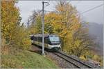 Kurz nach Sendy-Sollard zeigt sich die MOB Ge 4/4 8002 an der Spitze ihres Regionalzugs von Zweisimmen nach Montreux zwischen bunten Herbstfarben.