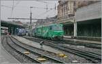 Eine weitere Bildvaariante mit der Ge 4/4 8004 etwas mehr im Vordergrund: Die beiden MOB Werbeloks Ge 4/4 8001 und 8004 mit ihren GoldenPass Express Zügen in Montreux.