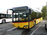 (242'226) - SB Trans, Sursee - PID 11'835 - Solaris am 6.