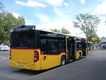 (274'136) - PostAuto Ostschweiz - TG 158'210/PID 11'128 - Mercedes (ex TG 180'983) am 22.