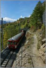 MGB Zug auf der Fahrt nach Visp, kurz nach Zermatt.
(21.10.2013)