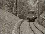 Die Strecke der Blonay-Chamby Bahn ist mit gut drei Kilometer nicht sehr lang, und doch bietet sie unzählige Fotomotive, wie z.B hier kurz vor der Baie de Clarens Brücke im Wald oberhalb von Blonay