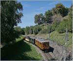 50 Jahre Blonay - Chamby Bahn; die Bernina Bahn Ge 4/4 81 ist bei Sonzier mit dem Riviera Belle Epoque Zug auf der Fahrt nach Montreux. 

8. Sept. 2018 