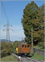 La DER de la Saison 2023 - Die Bernina Bahn RhB Ge 4/4 81 der Blonay-Chamby Bahn erreicht mit ihrem  Bernina-Express  Chaulin.