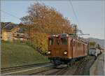 La DER de la Saison / Das Saison Ende der Blonay Chamby Bahn 2024 - Seit einigen Jahren zeigt die Blonay Chamby Bahn zu Saison Ende mit einem etwas verdichteten Fahrplan noch einmal ihrer herrlichen