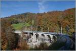 La DER de la Saison / Das Saison Ende der Blonay Chamby Bahn 2024 - Ein Blick auf das Baye de Clarens Viadukt, bei welchem die Sanierung nun schon weit fortgeschritten ist.