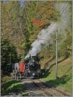 Die BFD HG 3/4 N° 3 der Blonay Chamby Bahn ist mit ihrem Reisezug kurz nach der Bifurcation von Chaulin auf dem Weg nach Chamby.

20. Okt. 2024