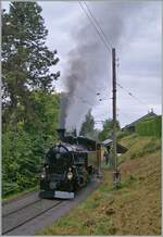 Autour de la voie ferr�e / Rund um die eiserne Bahn (Herbstevent 2024) - Die BFD HG 3/4 N� 3 verl�sst den Halt Chantemerle in Richtung Chamby.