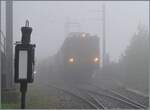 Blonay - Chamby - La Der 2026 - 60 apr�s les CEV (Saison Ende der Blonay Chamby Bahn, 60 Jahre nach dem Betriebsschluss der CEV). 

WETTER: Auch wenn ich mit meiner Meinung wohl ziemlich alleine dastehe und und auch die B-C es wohl gerne anders geh ...