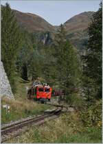 Die von der MGB übernommene Gm 4/4 61 der Dampfbahn Furka Bergstrecke folgt dem im Wald verschwindenden Dampfzug mit einem Löschwagen (im Bild nicht zu sehen) oberhalb von Oberwald.