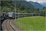 Aus dem offenen Fenster fotografiert: der Gegenzug nach Lauterbrunnen und Grindelwald erreicht in Kürze Zweilütschinen. 

4. August 2024