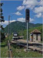 Die kleine Station Châtelard VD mit ihrem markanten Signal, welches nicht als Ausfahrsignal von Châtelard, sondern als Einfahrsignal zur nachfolgenden Kreuzungsstelle dient.
3. Juli 2017
