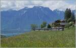 Kurz nach Les Avants ist ein MOB Be 4/4 Serie 9000  Alpina  mit seinem Regionalzug auf dme Weg nach Montreux. 

28. Mai 2024