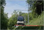 Eine interessante Fotostelle bietet sich bei Km 8.2 der MOB oberhalb von Chamby, welche auch die  Windschiefe -Fahrleitung zeigt. Im Bild der PE 30 2220 nach Zweisimmen mit dem f�hrende MOB Be 4/4 9204 ALPIA.

2. Mai 2026