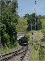 Es scheint, als erreicht die SCB C 4 196/ SBB Ed 2x 2/2 7696 (UIC 90 85 00 07 696-7) den Bahnhof von Sumiswald.