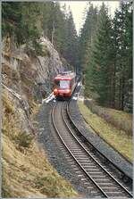 Der TMR BDeh 4/8 21 kommt von Vallorcine her durch den Wald gefahren und wird in k�rze die Grenze erreichen. 

26. Dez. 2025