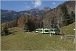 Der TPC Beh 4/8 591 ist kurz vor Les Planches auf dem Weg nach Les Diablerets.