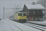 Der bunte RhB Zug nach Arosa passt, so finde ich, nicht schlecht ins Schneegestber bei Peist.