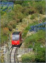 vinifuni-ligerz--prles-asm-5/923472/nach-der-durchfahrt-in-ligerz-pilgerweg Nach der Durchfahrt in Ligerz Pilgerweg geht das Trasse des Vinifuni weiter steil 
 bergan. 

24. August 2026